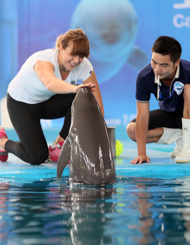 使腿臀部更 使腿臀部更